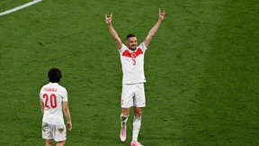 Linke fordert Verbot der Grauen Wölfe