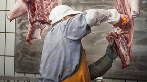 Mit Bußgeld gegen Arbeitsteilung