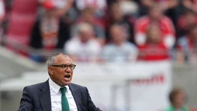 Und am Ende entscheidet der Bauch