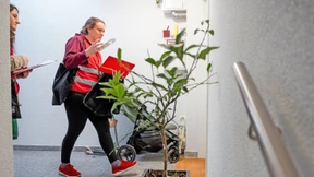 Plötzlich erfolgreich