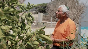 Ihr Ort der Sehnsucht heißt Gaza