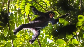 Ein „New Deal“ für die Natur