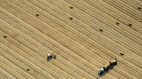 Agrargroßhändler warnt vor anziehenden Lebensmittelpreisen