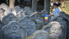 Vereinfacher am Werk