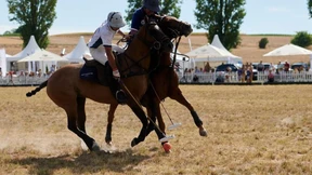 Familienevent für Pferdeliebhaber