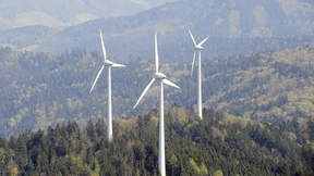 Grüne Hügel, weißer Spargel