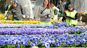 Mit lebenslangem Wohnrecht