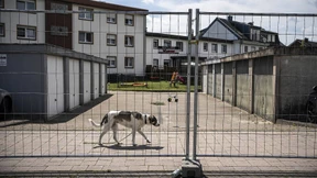 Den Kreislauf der Gewalt durchbrechen