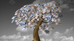 Wenn das Geld auf den Bäumen wächst