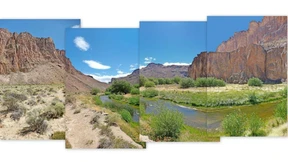 Tausend Hände und ein Puma