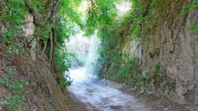 Auf Hohlwegen zu Heidentürmen