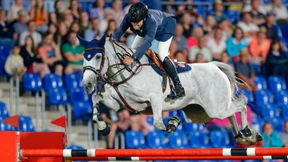 Ein Keil im Pferdesport