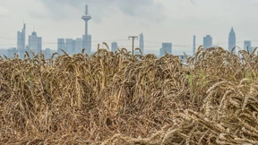 Nicht nur zu trocken und zu warm