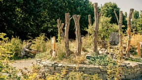 Ein Paradies für Insekten und Vögel