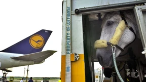 Alles muss mit nach Rio