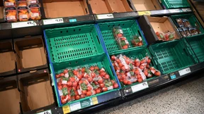 Tomaten und Gurken werden knapp und teuer