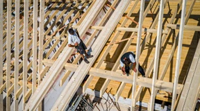 „Holz ist ein alternativloser Baustoff“