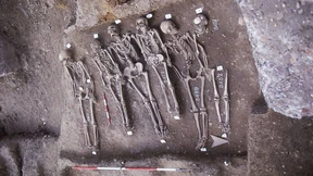 Schreiben Gene denn Geschichte?