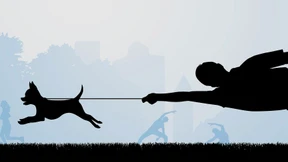 Wenn Rücksicht an der langen Leine hängt