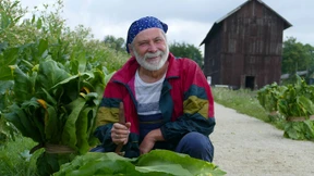 Traditionspflege auf dem Acker