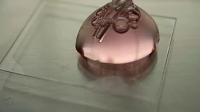 Corona-Viren überleben bis zu 28 Tage