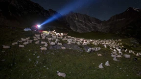 Nachtwache gegen Wolfsangriffe