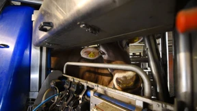 Technik erobert die Ställe