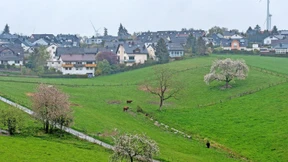 Bauland für verzweifelte Großstädter