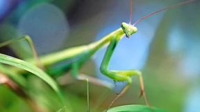 Sichten, zählen, fotografieren