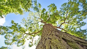 „Im Grunde wäre ein Rückbau von Straßen notwendig“