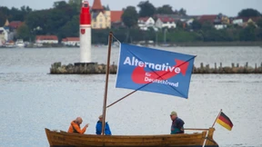 Sternschnuppe AfD 