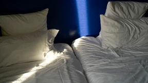 Die Bettwanzen sind immer noch da