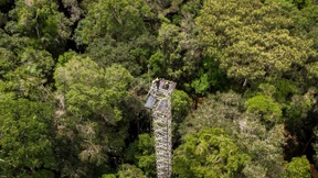 Null-Abholzungsstrategie künftig schärfer überwacht