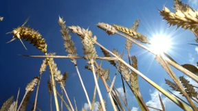 Am Freitag kehrt die Hitze zurück