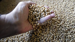 Kupfer, Platin und Soja verteuern sich rasant