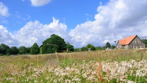 Die neue Lust aufs Land