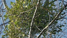 Wenn die Schulmedizin an ihre Grenzen stößt