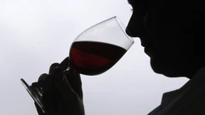 Ist es der Gaumen, ist es das Hirn? 