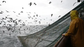 Der Preis der Zerstörung