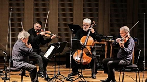 Wespen im Marmeladenglas