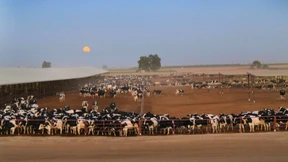 Und dann schuf Gott Monsanto