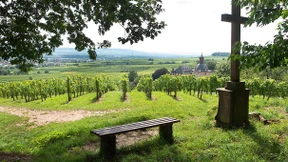 Ein Visionär unter der Last der Familienehre 