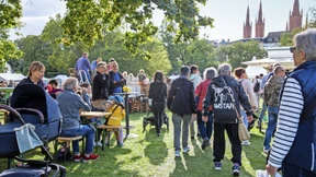 Jede Menge Karteileichen