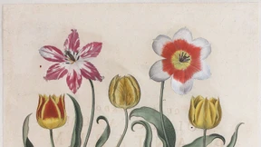 Was auf Papier alles gedeiht