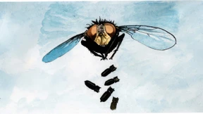 Im Graubereich des Krieges