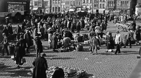 Die Tragödie der Mark