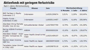 Aktienfonds mit geringem Verlustrisiko