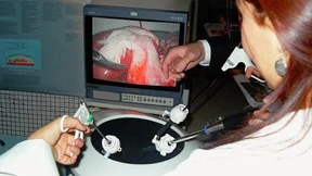 Tierschutz an der Universität