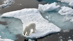 Das „ewige“ Eis vor der Warmzeit-Wende