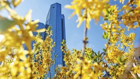 Warum die Aktie der Deutschen Bank so gut läuft